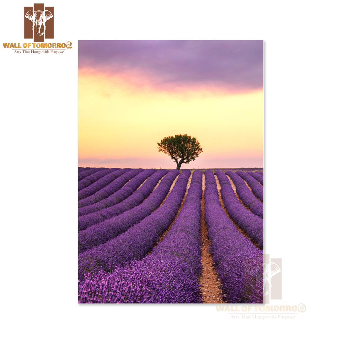 A Lone Tree Stands in A Lavender Field High Quality Unframed Poster Print & Waterproof Poster Print Wall Décor
