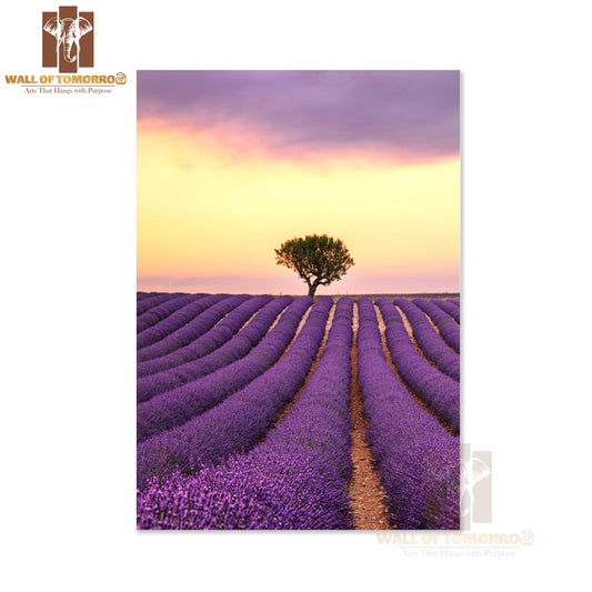 A Lone Tree Stands in A Lavender Field High Quality Unframed Poster Print & Waterproof Poster Print Wall Décor