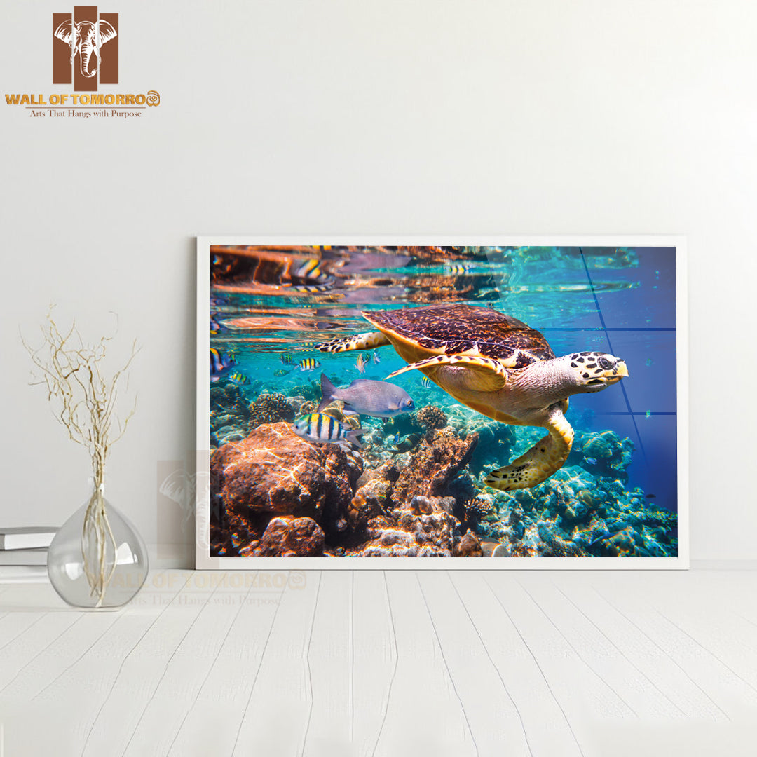 Sea Turtle Swimming Coral Reefs High Quality Unframed Poster Print & Waterproof Poster Print Wall Décor