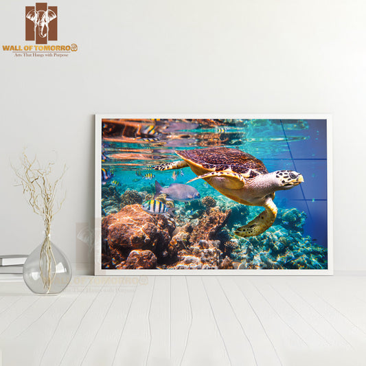Sea Turtle Swimming Coral Reefs High Quality Unframed Poster Print & Waterproof Poster Print Wall Décor