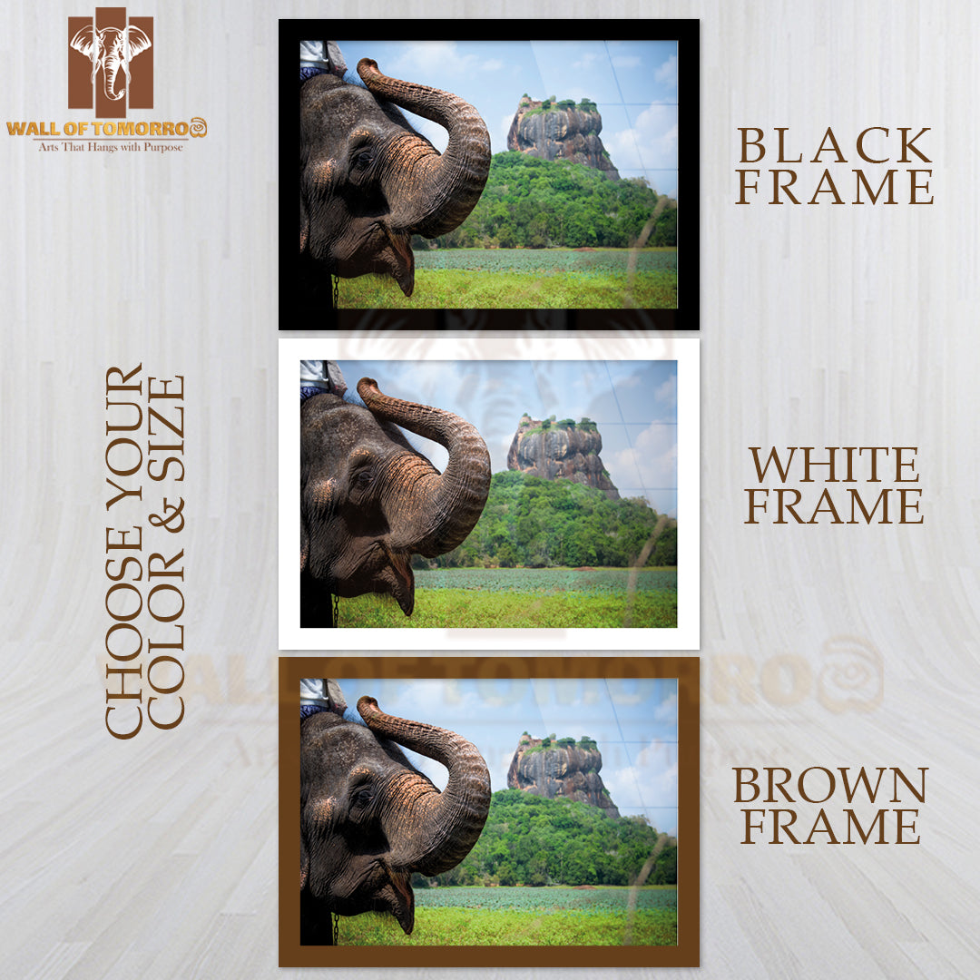 Elephant In Sigiriya Lion Rock Fortress, Sri Lanka High Quality Unframed Poster Print & Waterproof Poster Print Wall Décor