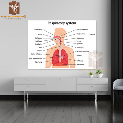 Human Respiratory System with Description of The Corresponding Parts Educational High Quality Unframed Poster Print & Waterproof Poster Print Wall Décor