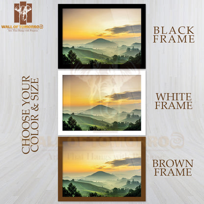 Sunrise At Green Tea Farm Mountain High Quality Unframed Poster Print & Waterproof Poster Print Wall Décor