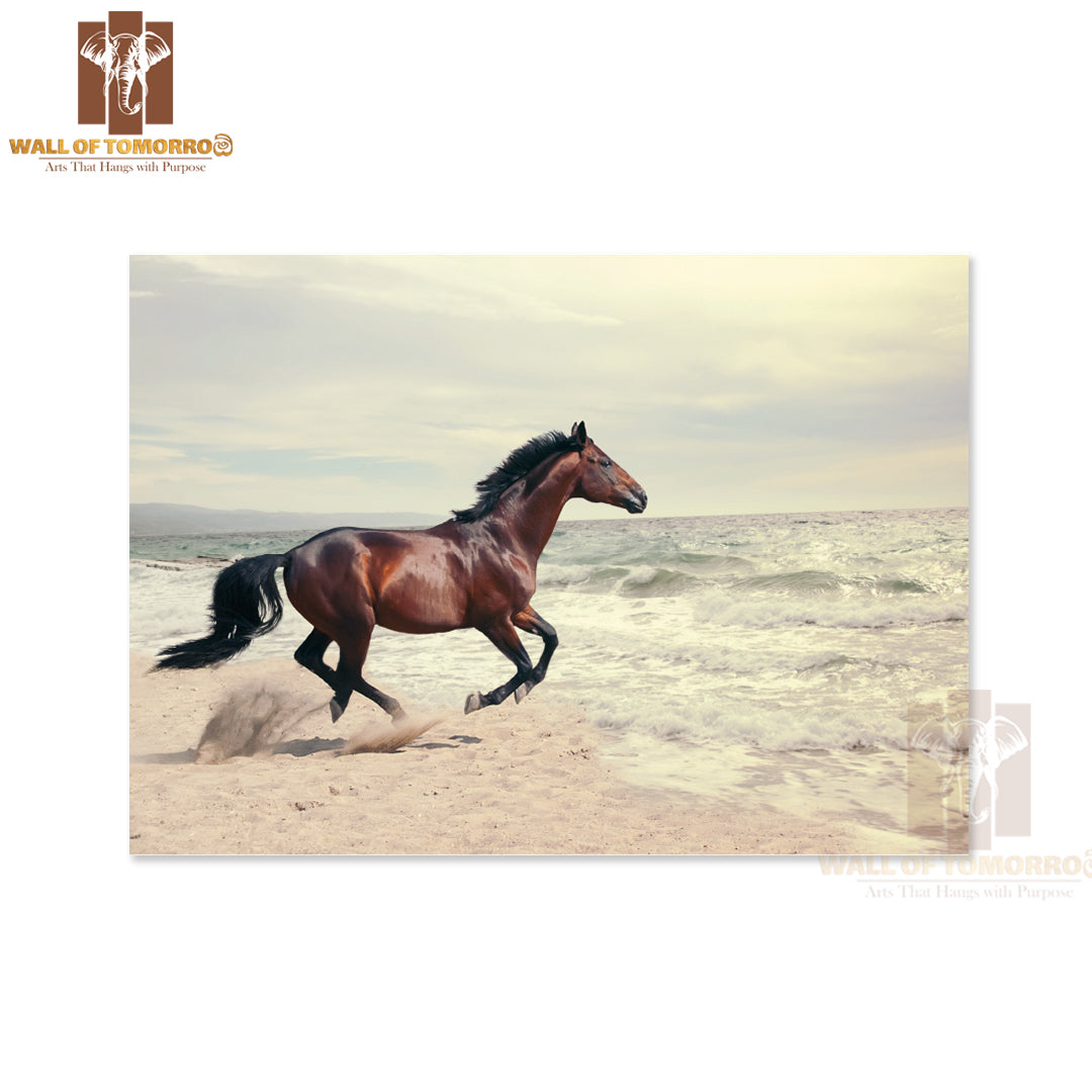 Wonderful Marine Landscape with Beautiful Bay Horse High Quality Unframed Poster Print & Waterproof Poster Print Wall Décor