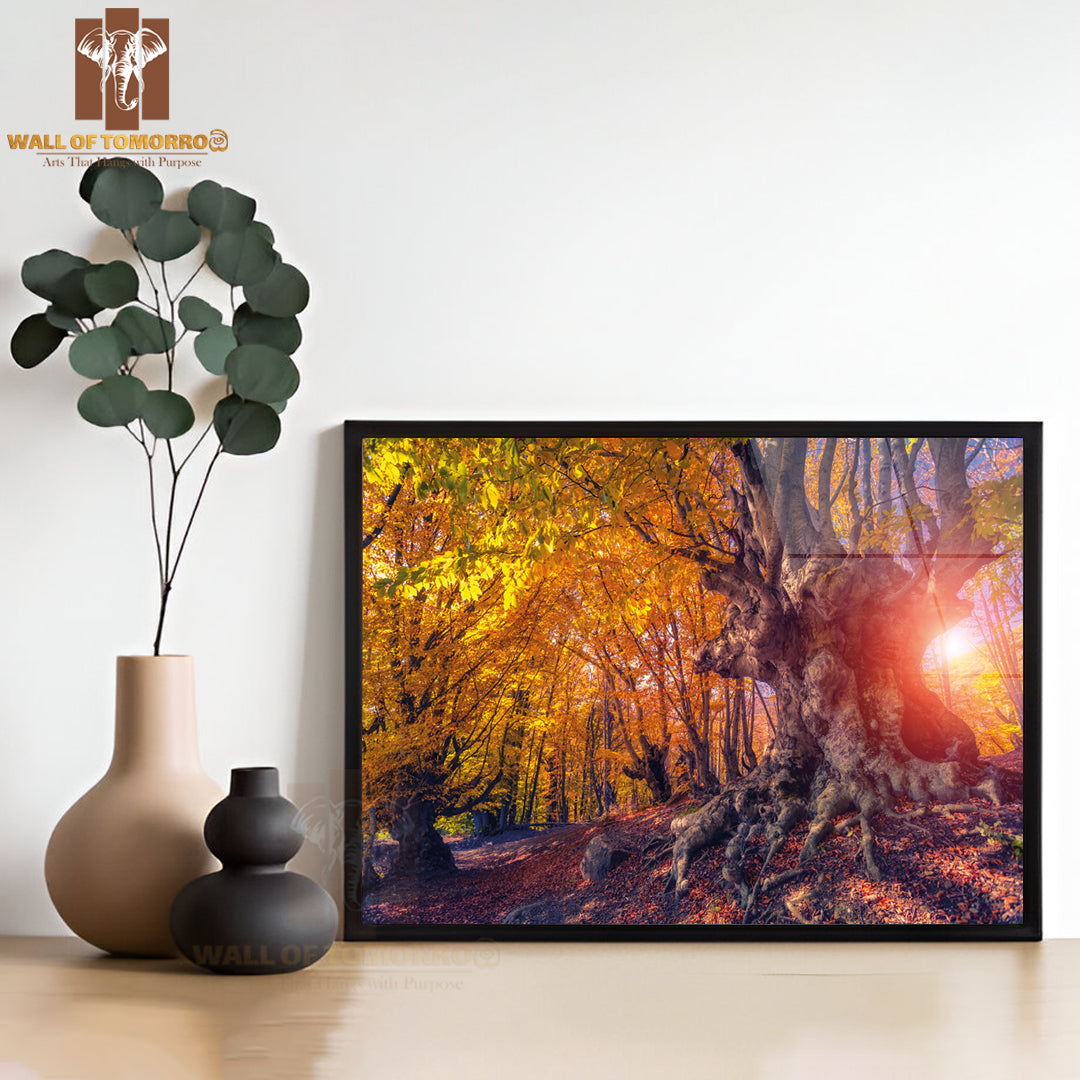 Majestic Autumn Trees Glowing by Sunlight High Quality Unframed Poster Print & Waterproof Poster Print Wall Décor