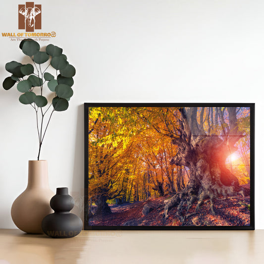 Majestic Autumn Trees Glowing by Sunlight High Quality Unframed Poster Print & Waterproof Poster Print Wall Décor