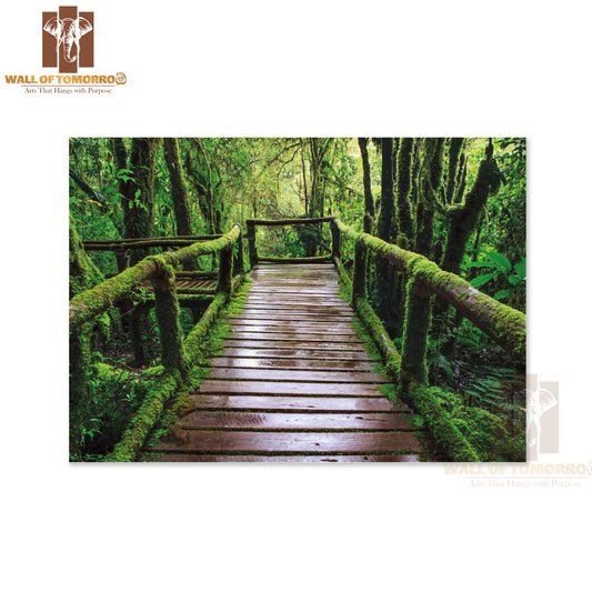 Wet Wooden Trail Bridge Walking Way at Hill Mountain Evergreen Forest High Quality Unframed Poster Print & Waterproof Poster Print Wall Décor