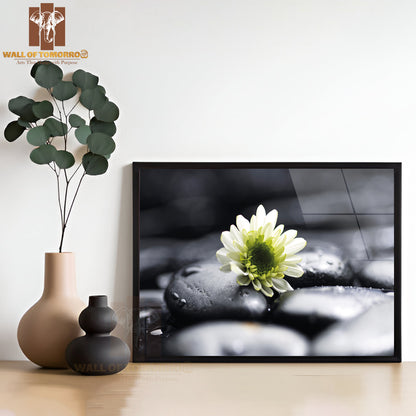 Still Life White Chamomiles on Pebbles High Quality Unframed Poster Print & Waterproof Poster Print Wall Décor