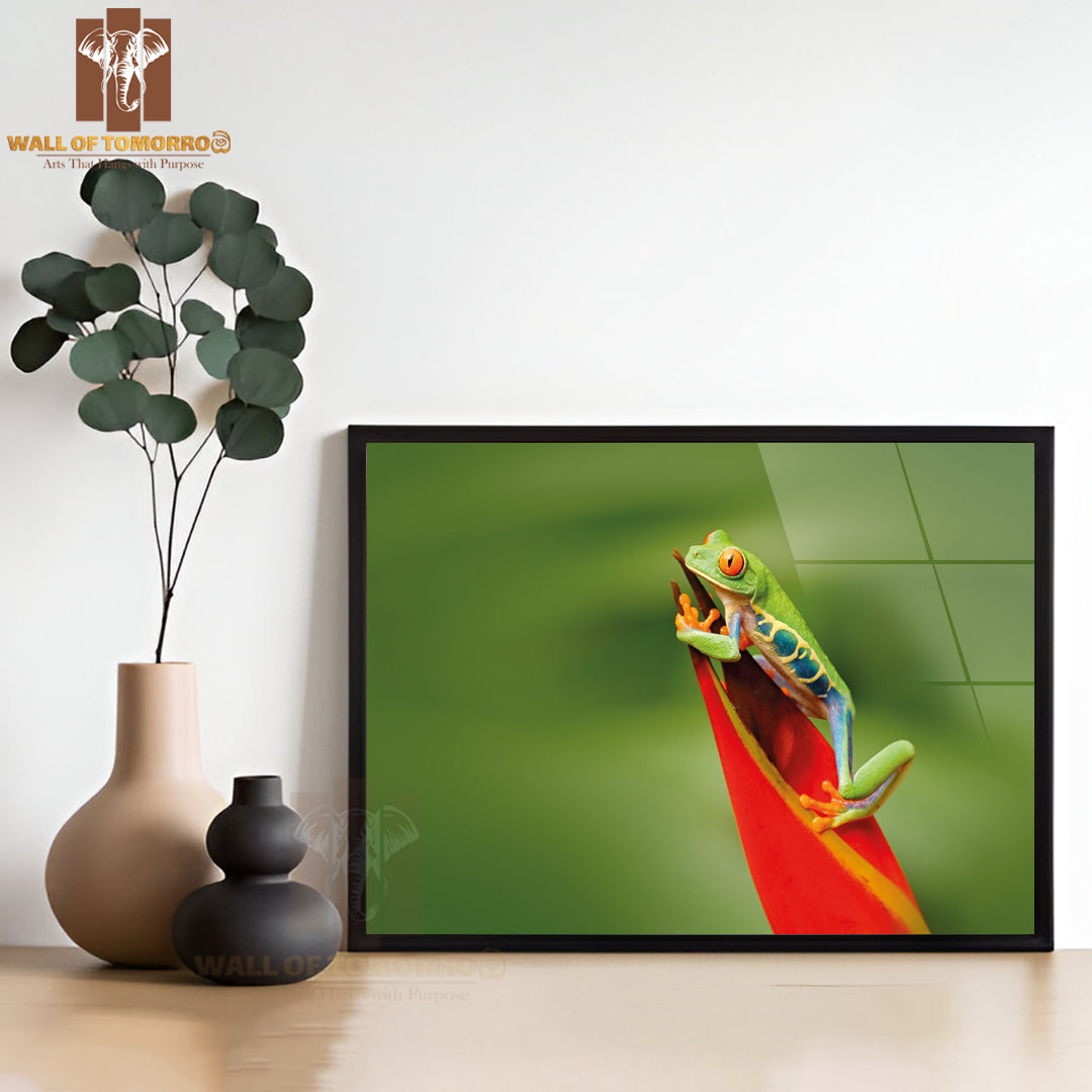 Beautiful Frog in Forest, Exotic Animal from Central America High Quality Unframed Poster Print & Waterproof Poster Print Wall Décor