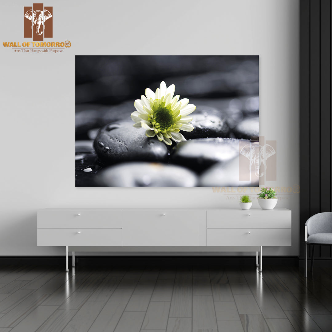 Still Life White Chamomiles on Pebbles High Quality Unframed Poster Print & Waterproof Poster Print Wall Décor