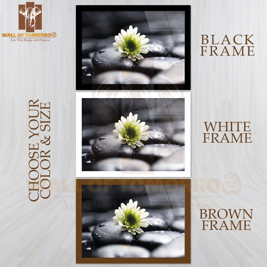 Still Life White Chamomiles on Pebbles High Quality Unframed Poster Print & Waterproof Poster Print Wall Décor