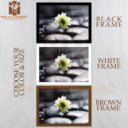 Still Life White Chamomiles on Pebbles High Quality Unframed Poster Print & Waterproof Poster Print Wall Décor