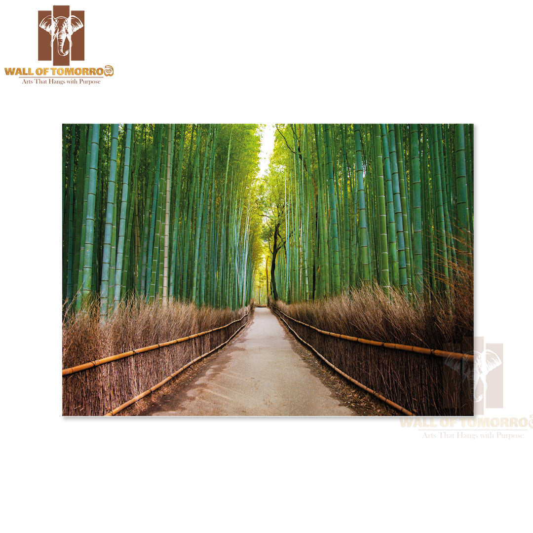 Road In Forest Scenery Photograph High Quality Unframed Poster Print & Waterproof Poster Print Wall Décor