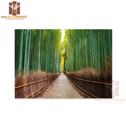 Road In Forest Scenery Photograph High Quality Unframed Poster Print & Waterproof Poster Print Wall Décor