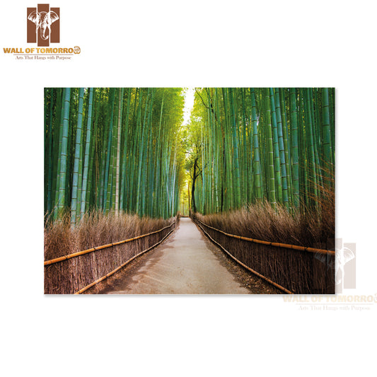 Road In Forest Scenery Photograph High Quality Unframed Poster Print & Waterproof Poster Print Wall Décor