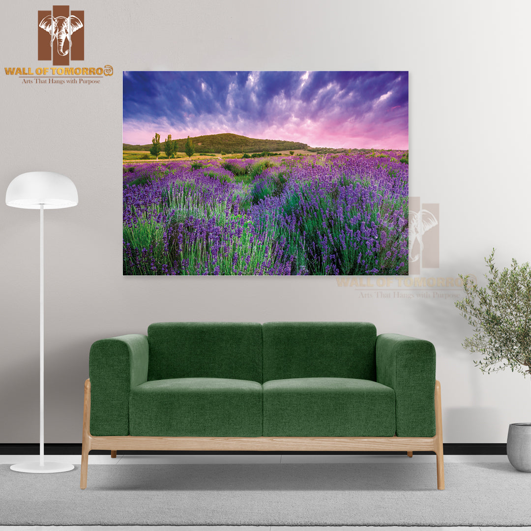 Sunset Over a Summer Lavender Field in Tihany, Hungary High Quality Unframed Poster Print & Waterproof Poster Print Wall Décor