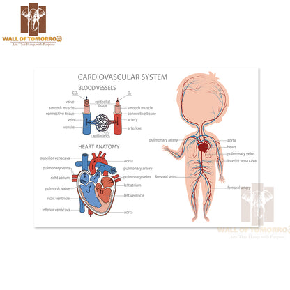 Blood Circulatory System in Kid Body Educational High Quality Unframed Poster Print & Waterproof Poster Print Wall Décor