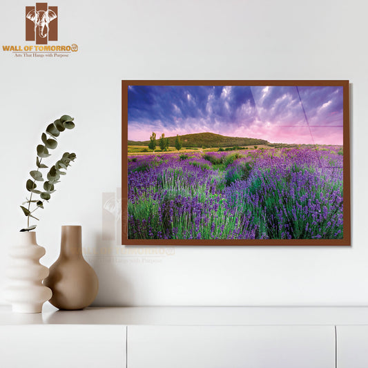 Sunset Over a Summer Lavender Field in Tihany, Hungary High Quality Unframed Poster Print & Waterproof Poster Print Wall Décor