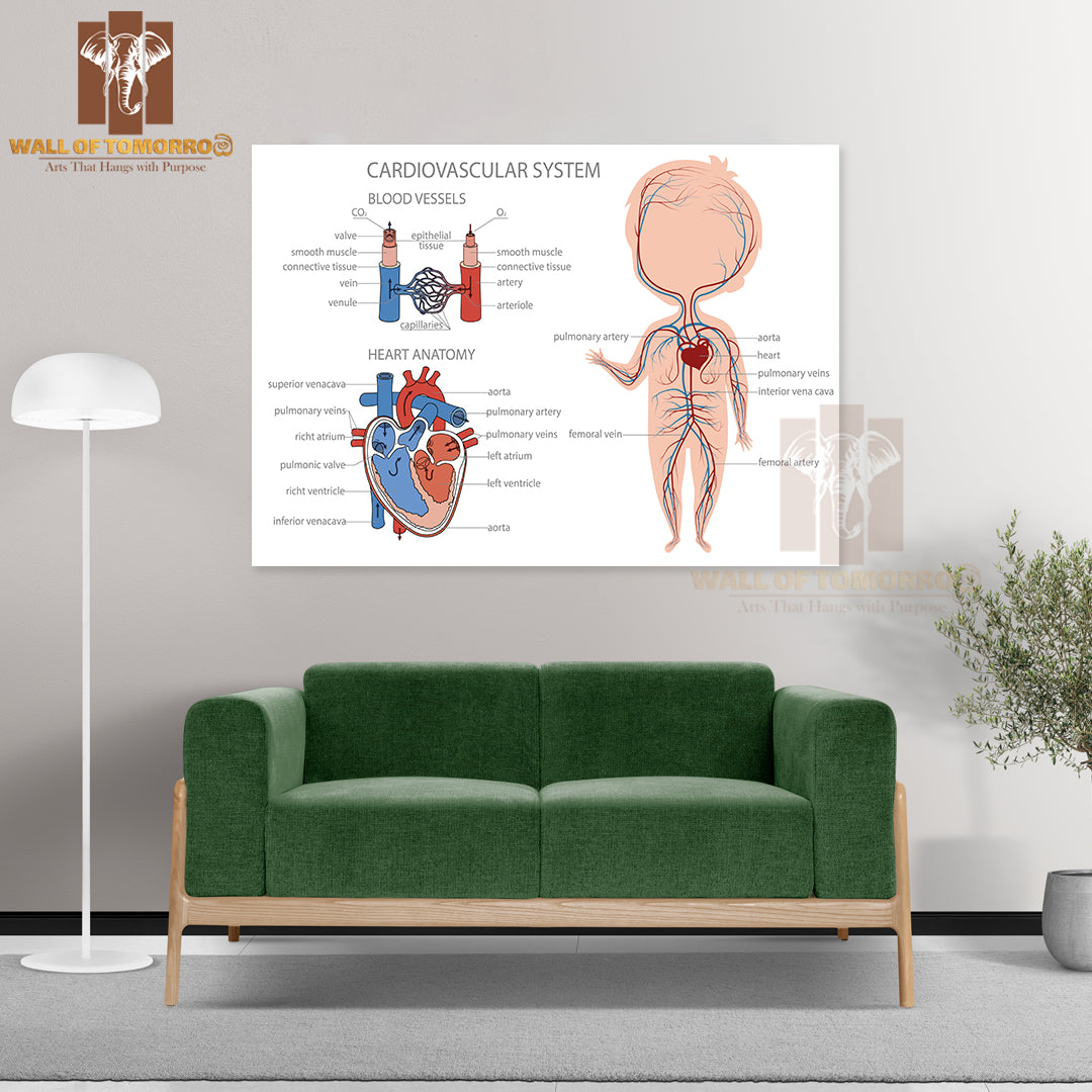Blood Circulatory System in Kid Body Educational High Quality Unframed Poster Print & Waterproof Poster Print Wall Décor