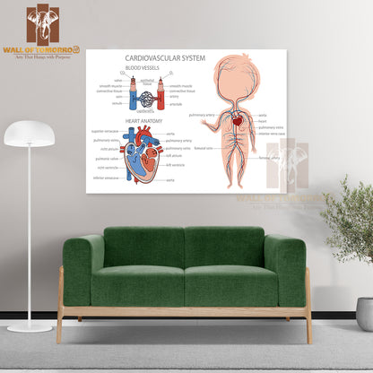 Blood Circulatory System in Kid Body Educational High Quality Unframed Poster Print & Waterproof Poster Print Wall Décor