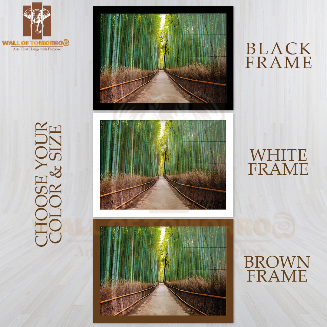 Road In Forest Scenery Photograph High Quality Unframed Poster Print & Waterproof Poster Print Wall Décor
