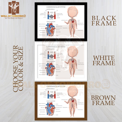 Blood Circulatory System in Kid Body Educational High Quality Glass Frame Wall Décor