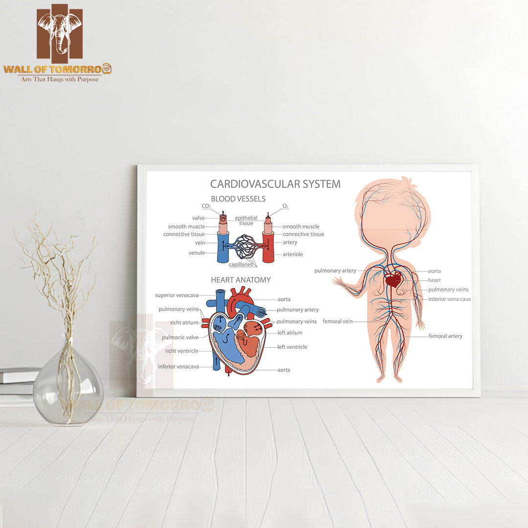 Blood Circulatory System in Kid Body Educational High Quality Glass Frame Wall Décor