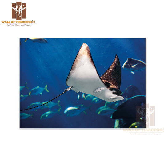 Manta Ray Floating Underwater Among Other Fish High Quality Unframed Poster Print & Waterproof Poster Print Wall Décor
