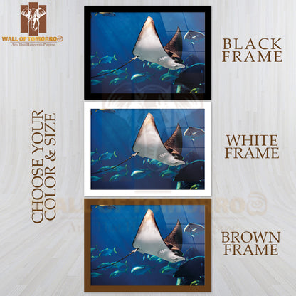Manta Ray Floating Underwater Among Other Fish High Quality Unframed Poster Print & Waterproof Poster Print Wall Décor