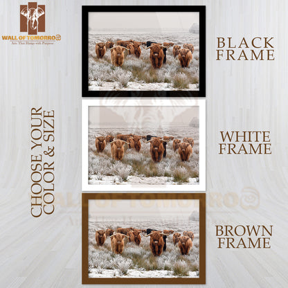 Herd Of Red Brown Scottish Highlanders High Quality Unframed Poster Print & Waterproof Poster Print Wall Décor