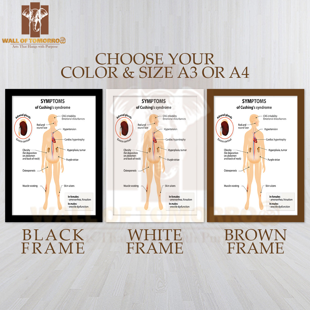 Signs And Symptoms of Cushing's Syndrome. Labeled. Human Silhouette with Internal Organs Educational High Quality Glass Frame Wall Décor