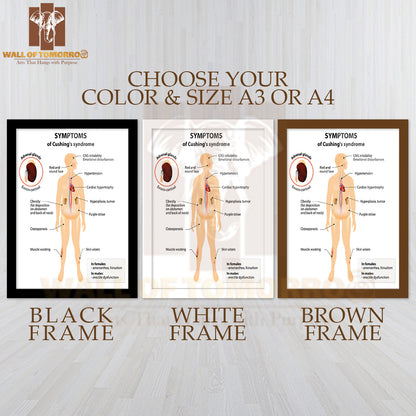 Signs And Symptoms of Cushing's Syndrome. Labeled. Human Silhouette with Internal Organs Educational High Quality Glass Frame Wall Décor
