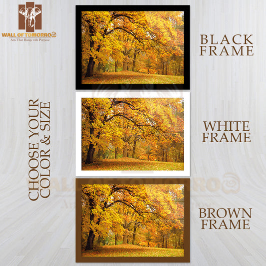 A Park Bench in The Middle of a Field of Leaves High Quality Glass Frame Wall Décor