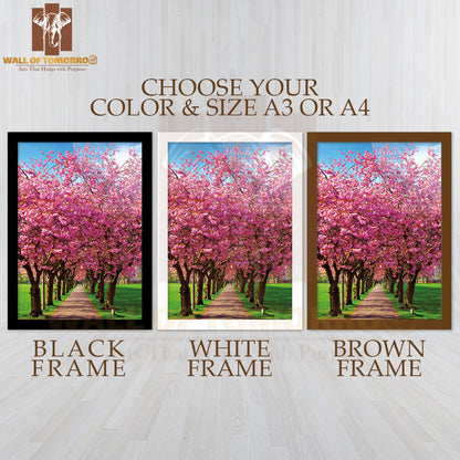 Walk Path Surrounded with Blossoming Plum Trees at Meadows Park, Edinburgh High Quality Glass Frame Wall Décor