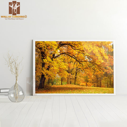 A Park Bench in The Middle of a Field of Leaves High Quality Glass Frame Wall Décor