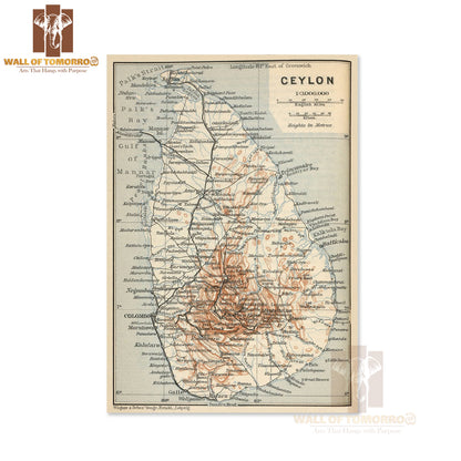 Old map of Sri Lanka with roads, cities and relief - 1914 High Quality Unframed Poster Print & Waterproof Poster Print Wall Décor in Sri Lanka