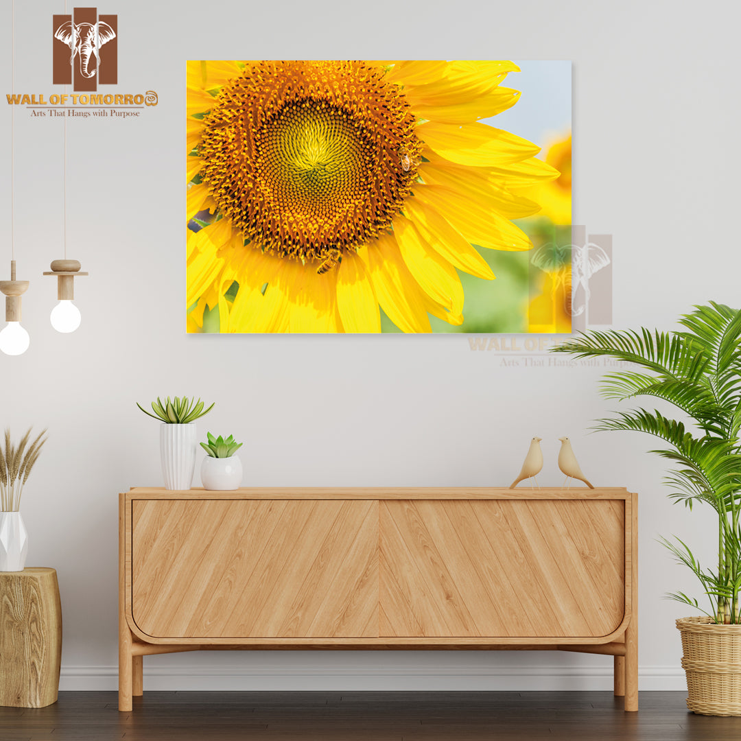 Blooming Sunflower with Bee in The Meadow of Large Farm High Quality Unframed Poster Print & Waterproof Poster Print Wall Décor
