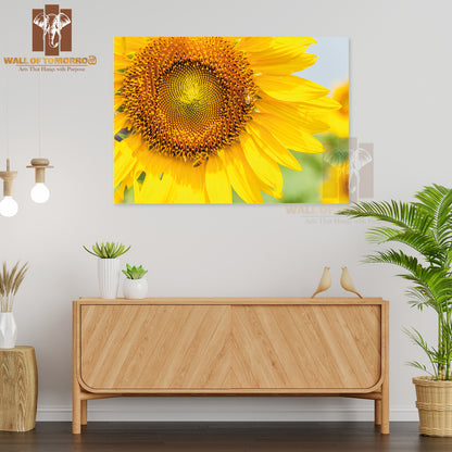 Blooming Sunflower with Bee in The Meadow of Large Farm High Quality Unframed Poster Print & Waterproof Poster Print Wall Décor