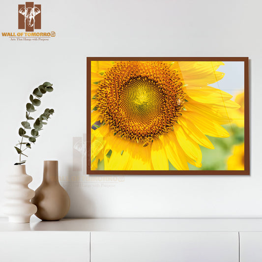 Blooming Sunflower with Bee in The Meadow of Large Farm High Quality Unframed Poster Print & Waterproof Poster Print Wall Décor