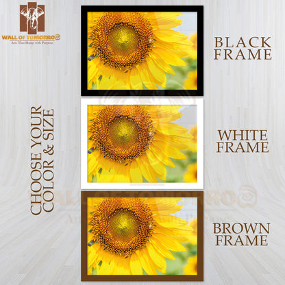 Blooming Sunflower with Bee in The Meadow of Large Farm High Quality Unframed Poster Print & Waterproof Poster Print Wall Décor