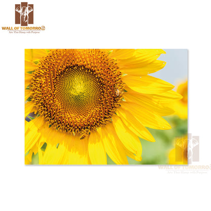 Blooming Sunflower with Bee in The Meadow of Large Farm High Quality Unframed Poster Print & Waterproof Poster Print Wall Décor