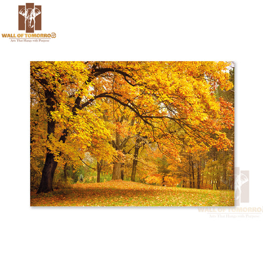 A Park Bench in The Middle of a Field of Leaves High Quality Unframed Poster Print Wall Décor