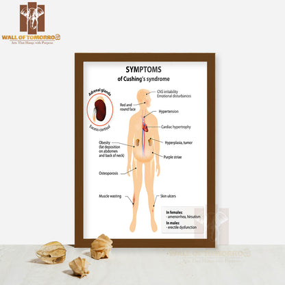 Signs And Symptoms of Cushing's Syndrome. Labeled. Human Silhouette with Internal Organs Educational High Quality Glass Frame Wall Décor