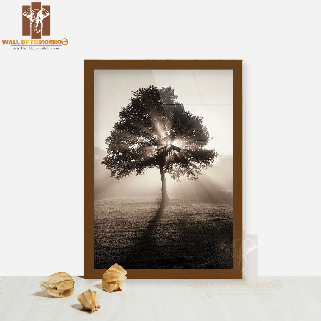 Tree In Sunrise Faded Photography High Quality Glass Frame Wall Décor