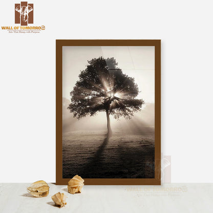Tree In Sunrise Faded Photography High Quality Glass Frame Wall Décor