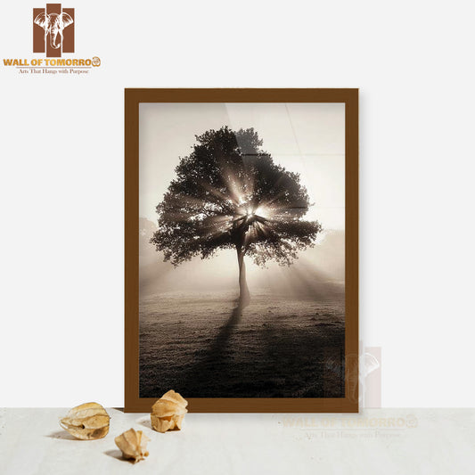 Tree In Sunrise Faded Photography High Quality Glass Frame Wall Décor