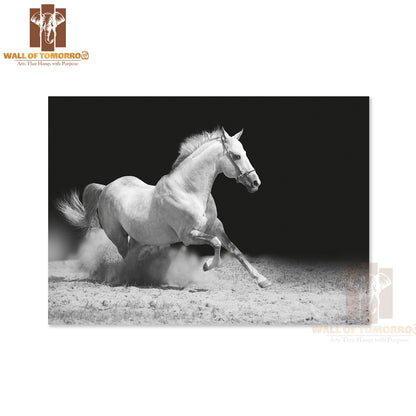 White Stallion on Black High Quality Unframed Poster Print & Waterproof Poster Print Wall Décor