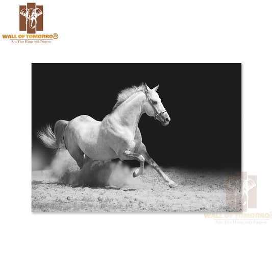 White Stallion on Black High Quality Unframed Poster Print & Waterproof Poster Print Wall Décor