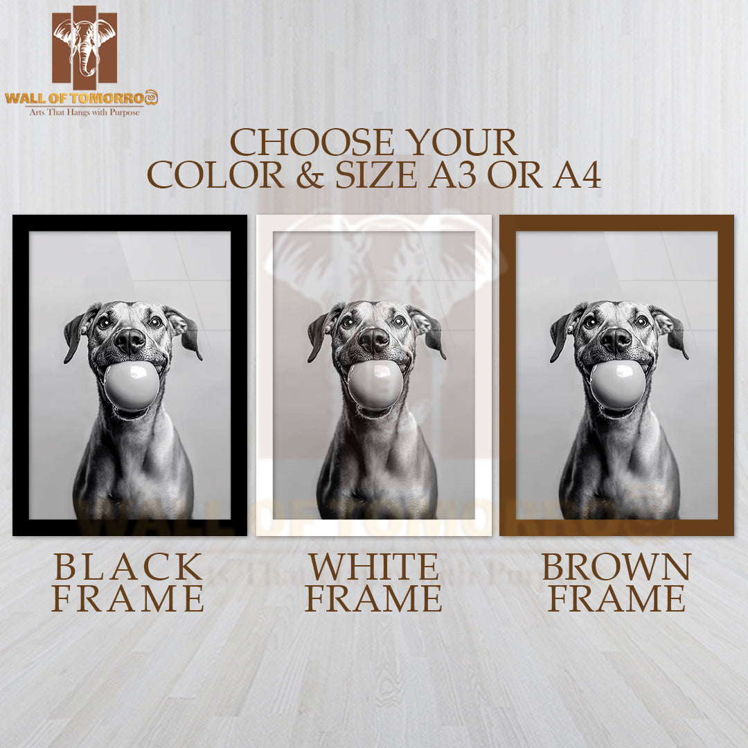 Paws Of Play Dog with Ball High Quality Glass Frame Wall Décor