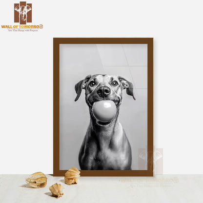 Paws Of Play Dog with Ball High Quality Glass Frame Wall Décor